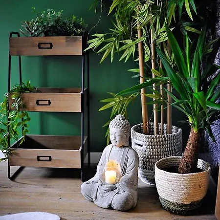 L'Evasion Romantique En Amazonie, Spa, 5 Min Centre Ville, Ecran Cinema, Day Use, Lit Baldaquin Apartament