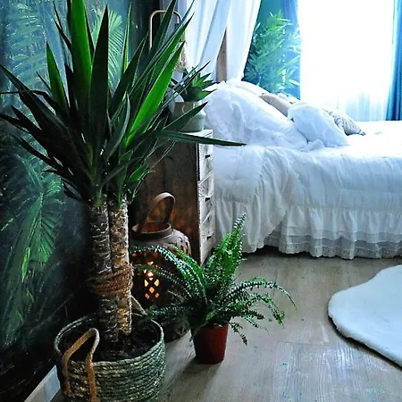 Apartament L'Evasion Romantique En Amazonie, Spa, 5 Min Centre Ville, Ecran Cinema, Day Use, Lit Baldaquin
