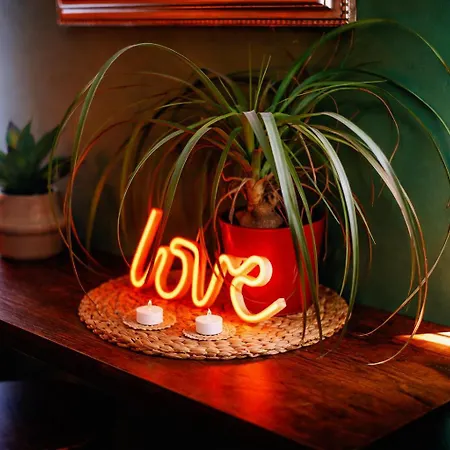 L'evasion Romantique En Amazonie, Spa, écran Cinéma, Day Use, Lit Baldaquin