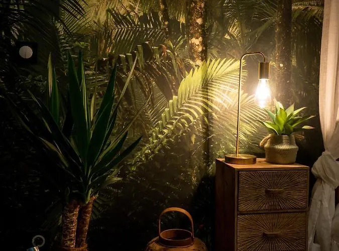 L'evasion Romantique En Amazonie, Spa, écran Cinéma, Day Use, Lit Baldaquin Appartement