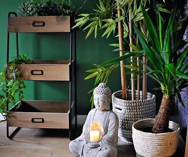 L'evasion Romantique En Amazonie, Spa, écran Cinéma, Day Use, Lit Baldaquin Appartement