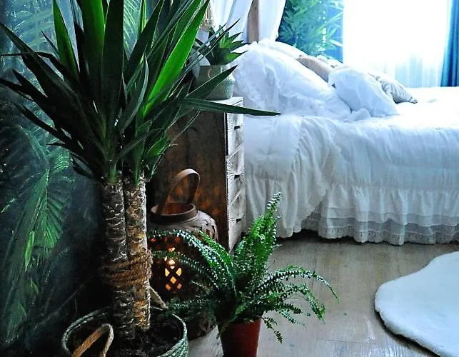 Appartement L'evasion Romantique En Amazonie, Spa, écran Cinéma, Day Use, Lit Baldaquin