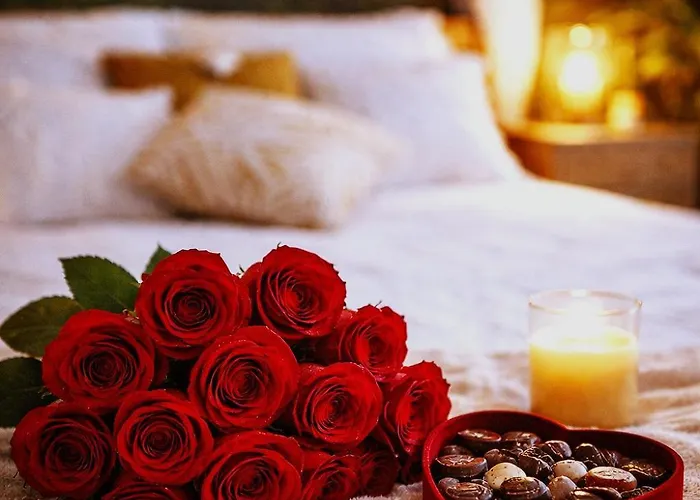 L'evasion Romantique En Amazonie, Spa, écran Cinéma, Day Use, Lit Baldaquin Évreux