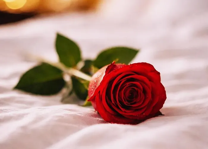 Appartement L'evasion Romantique En Amazonie, Spa, écran Cinéma, Day Use, Lit Baldaquin Évreux